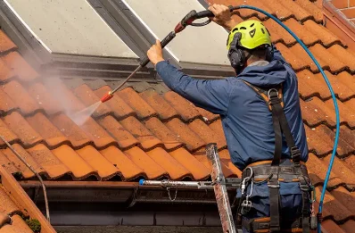 Démoussage et hydrofuge de toiture à Theys